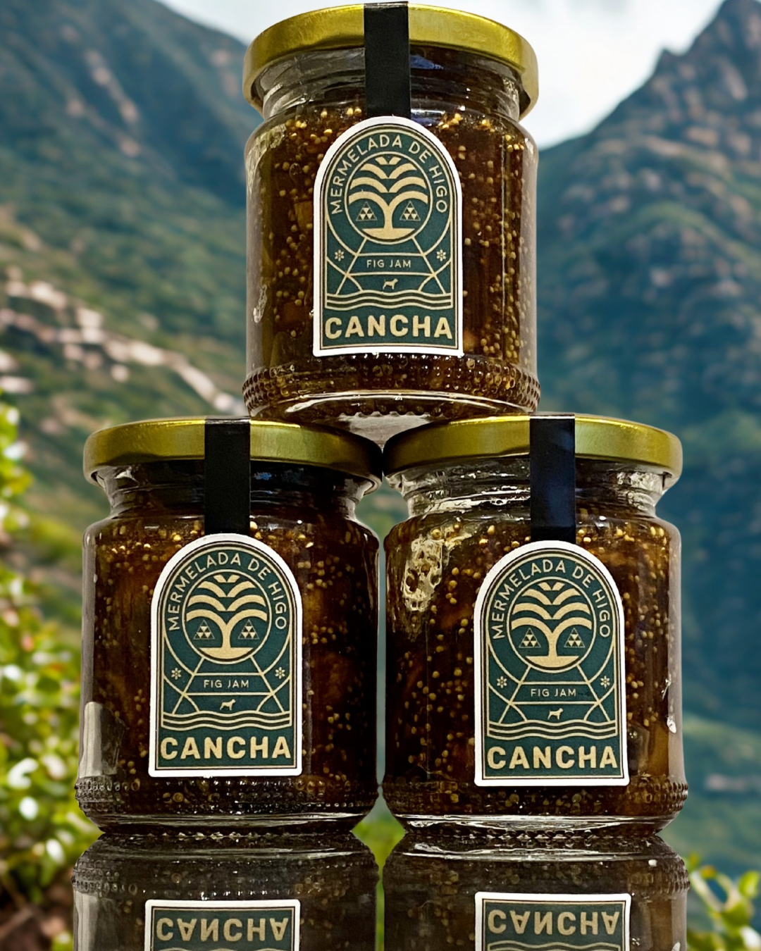 Canarian Figs: Tradition, Culture & CANCHA Fig Jam